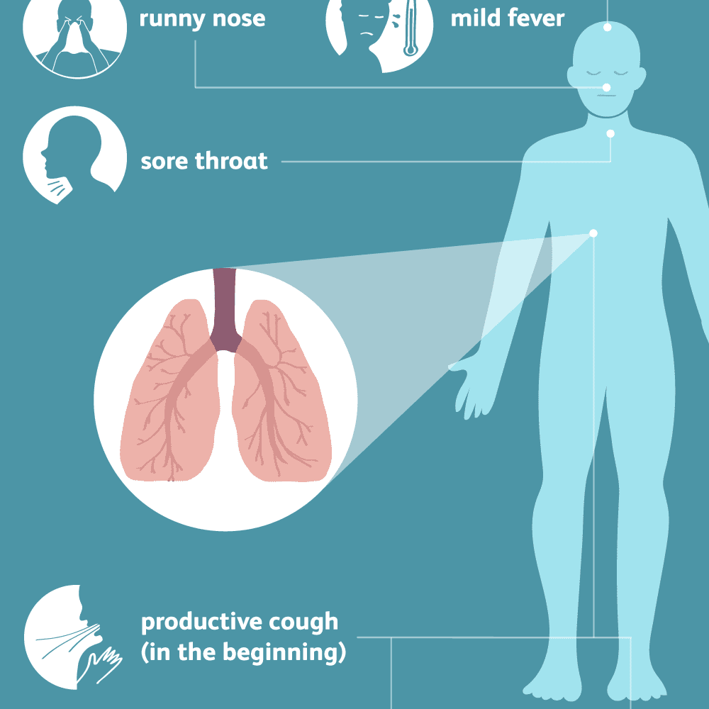 bronchitis-symptoms-5b4372f3c9e77c00370a4c93.png