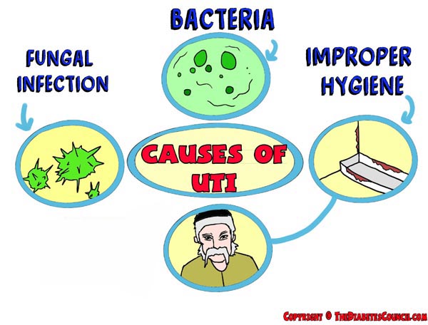 causes-of-uti2.jpg