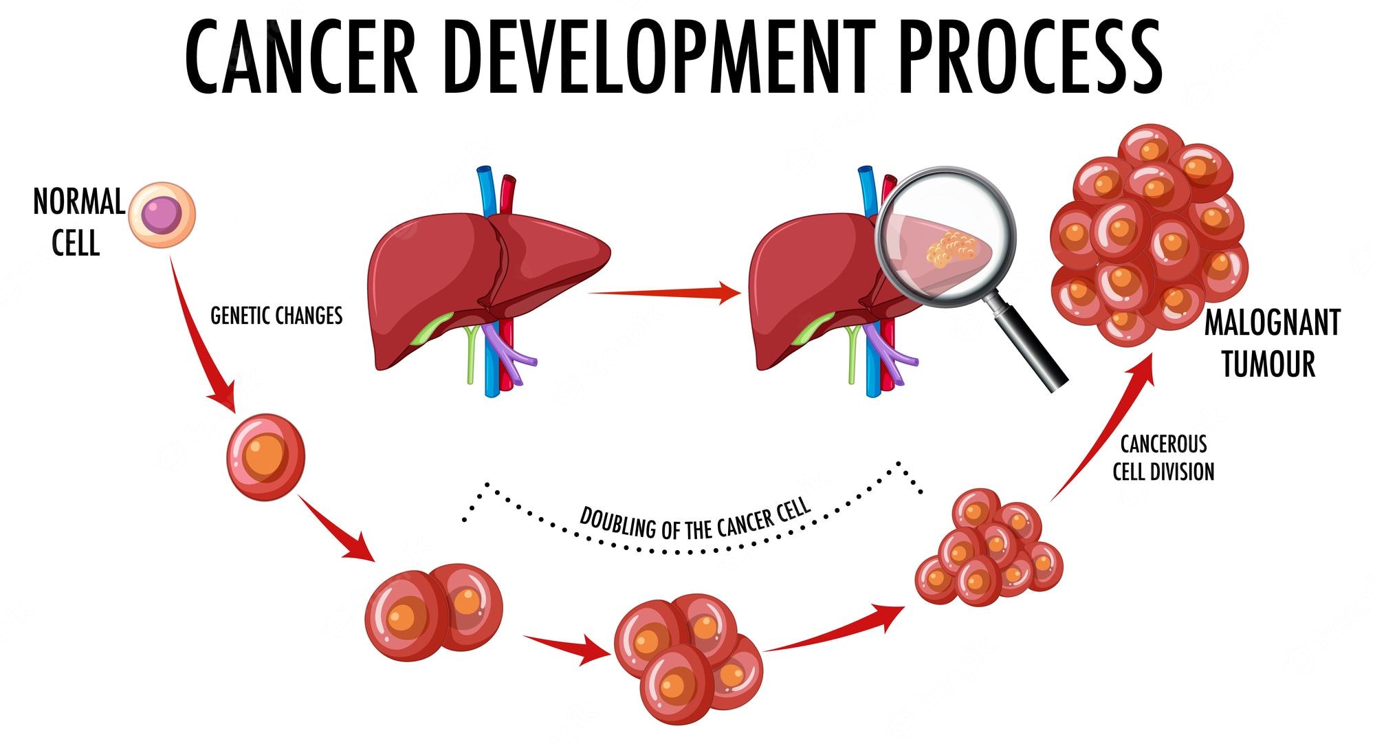 diagram-showing-cancer-development-process_1308-104960.jpg