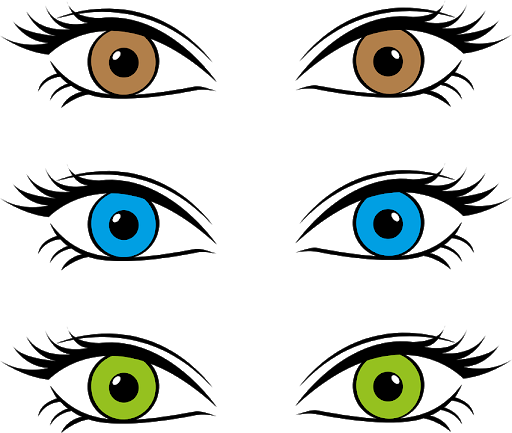 different-colour-eyes.png