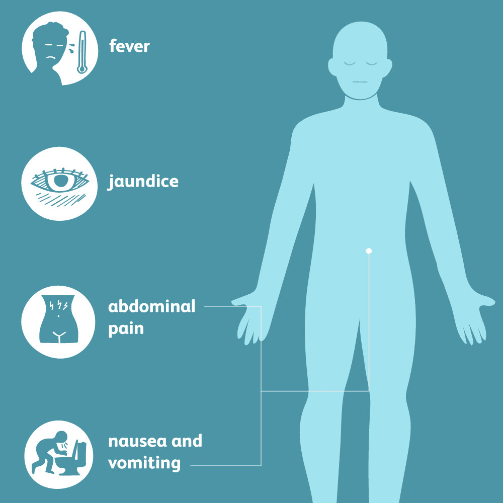 gallbladder-disease-symptoms-5aec9a54a18d9e0037100eab.png