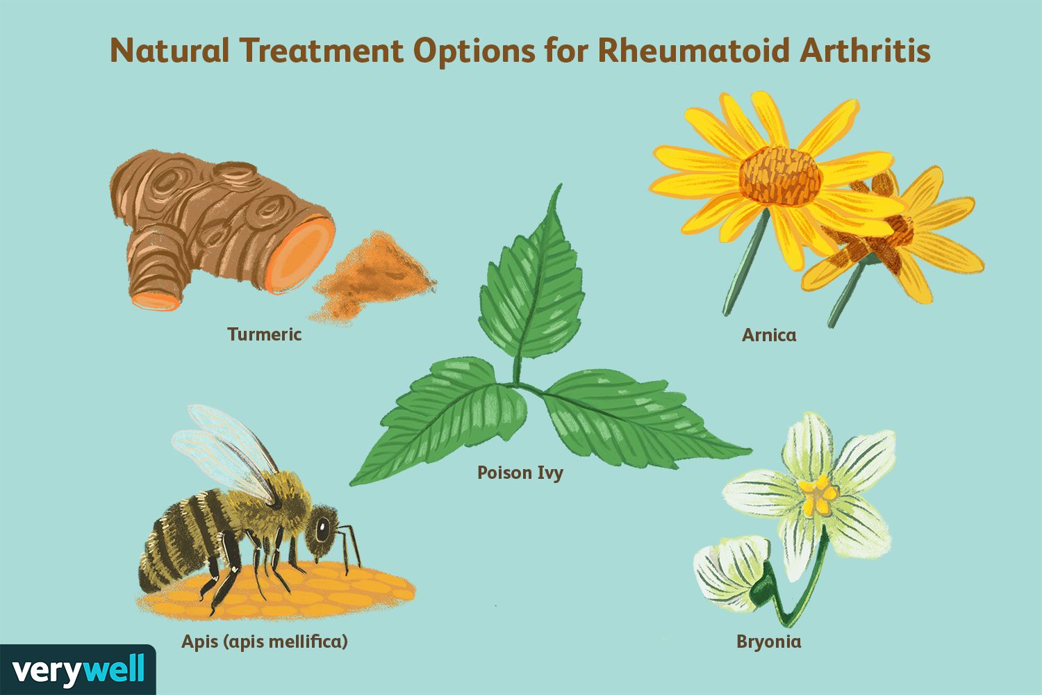 homeopathy-for-rheumatoid-arthritis-herbs-uses-safety-5201269-FINAL-d095a49acc48472bb50cbc3004...jpg