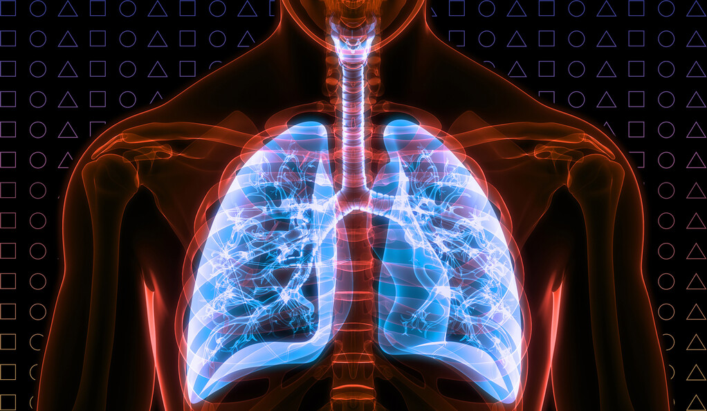 lungs-cells-302633136.jpg