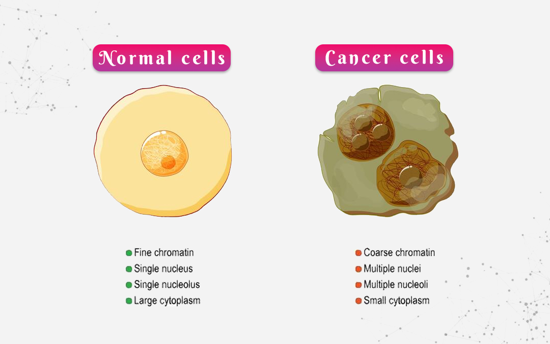 Normal-Cells-vs.-Cancer-Cells.jpg