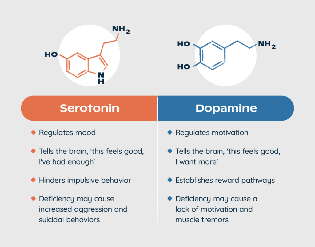 serotonin-dopamine-difference-1024x803.png