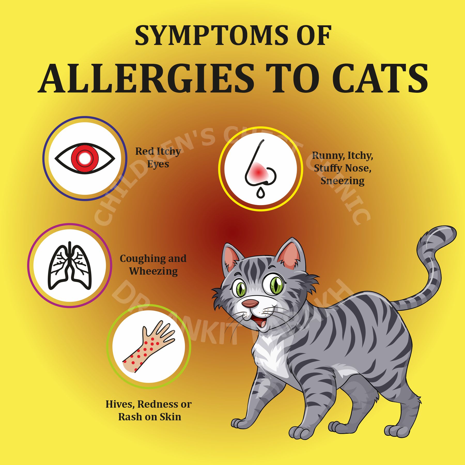 SYMPTOMS-OF-ALLERGIES-TO-CATS-WEB.jpg