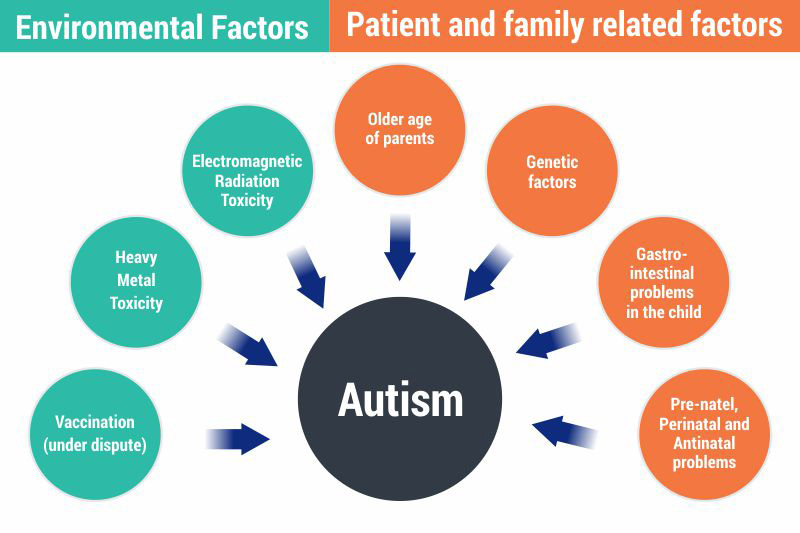 what-causes-autism-genetics-or-environment.jpg