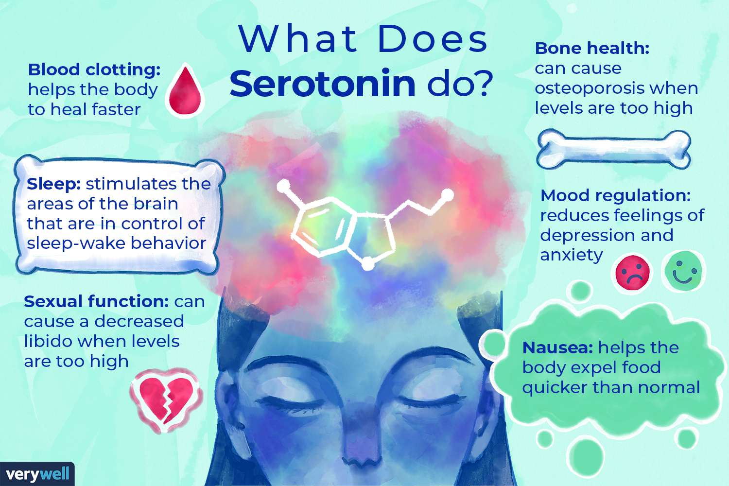 what-is-serotonin-5189485_color_v1-0cf1021dcefb4410865f4cea18254b5e.jpg