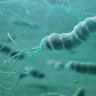 Инфекция с бактерията Helicobacter Pylori- симптоми, лечение и превенция