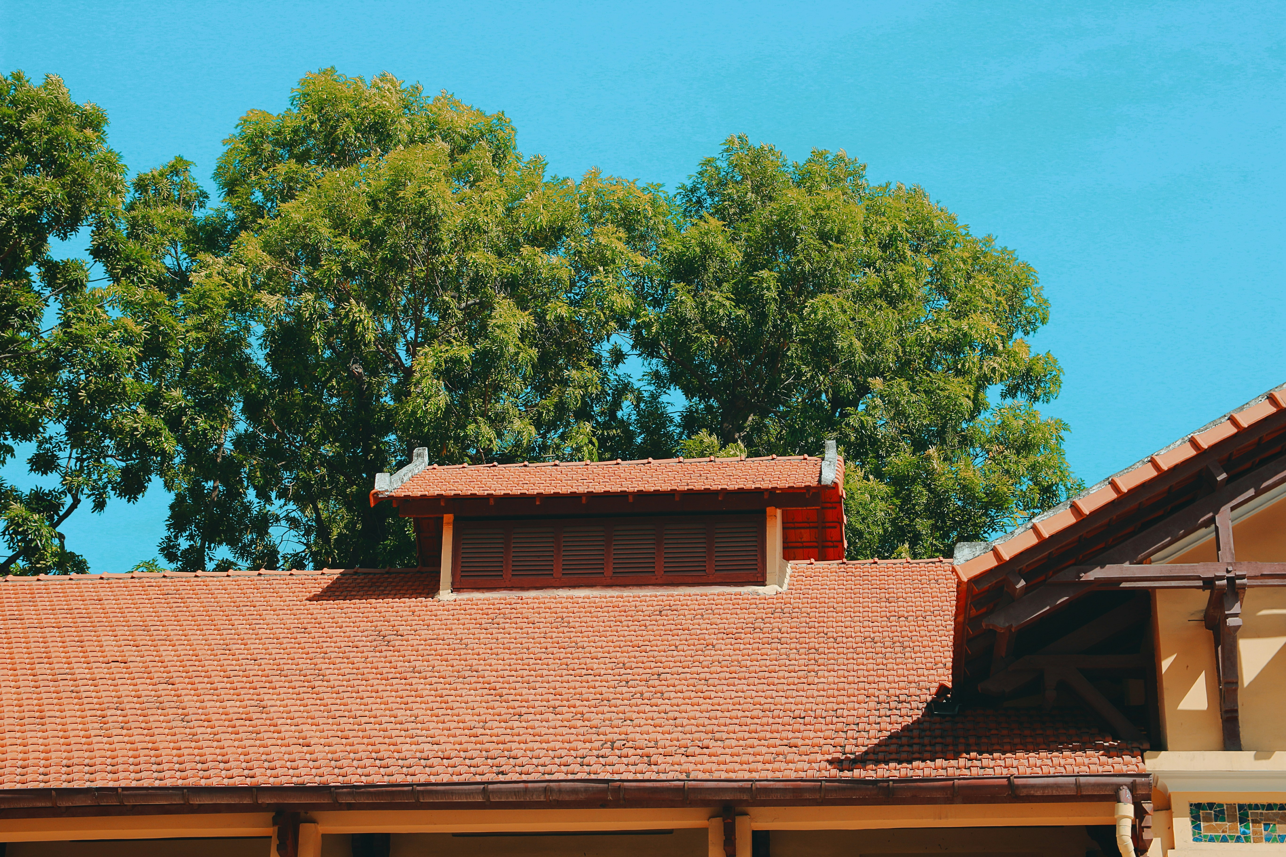 Articles - How to help repair a school sports hall roof