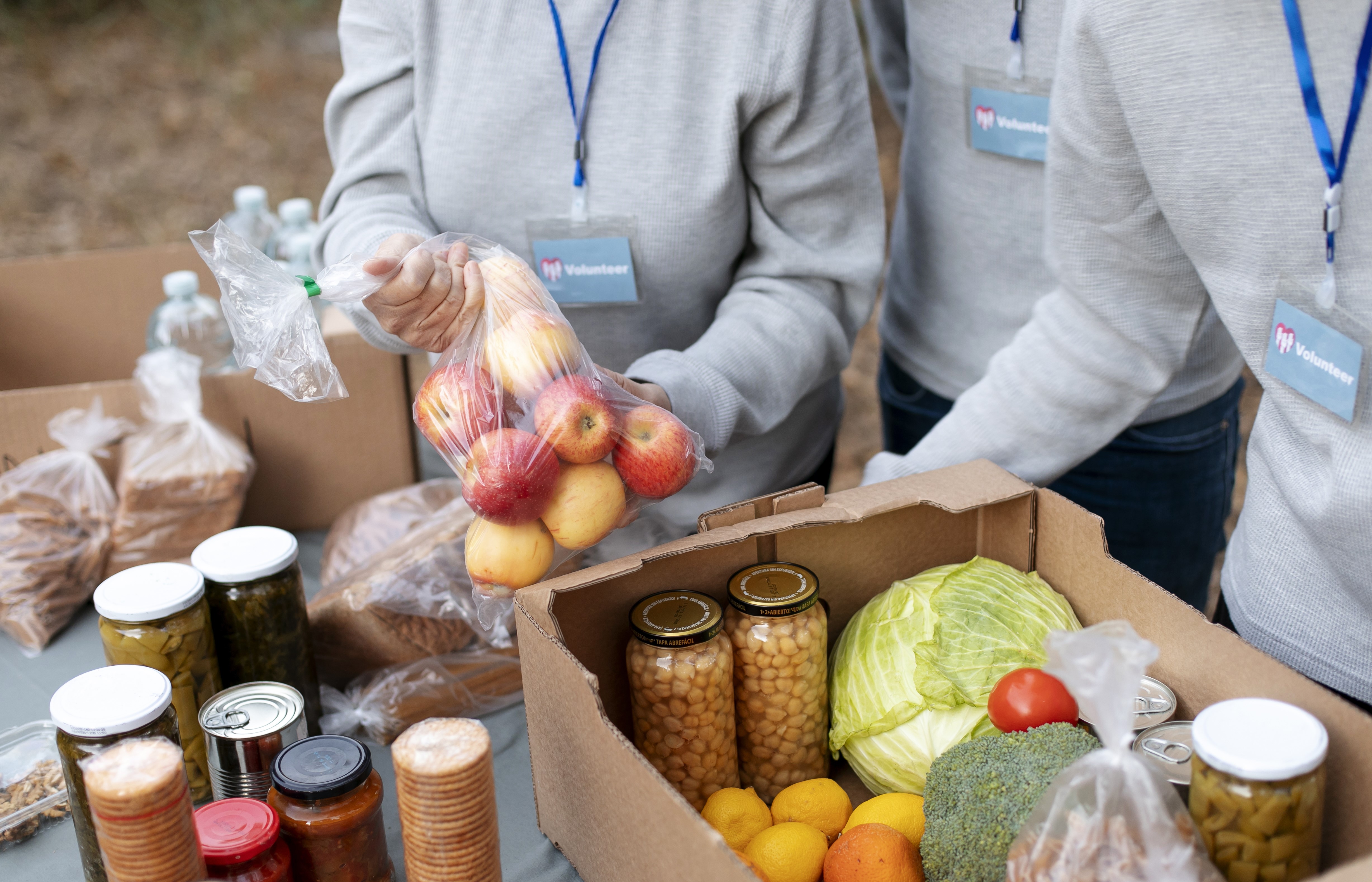 Articole - Cel mai bun ghid de strângere de fonduri pentru băncile alimentare