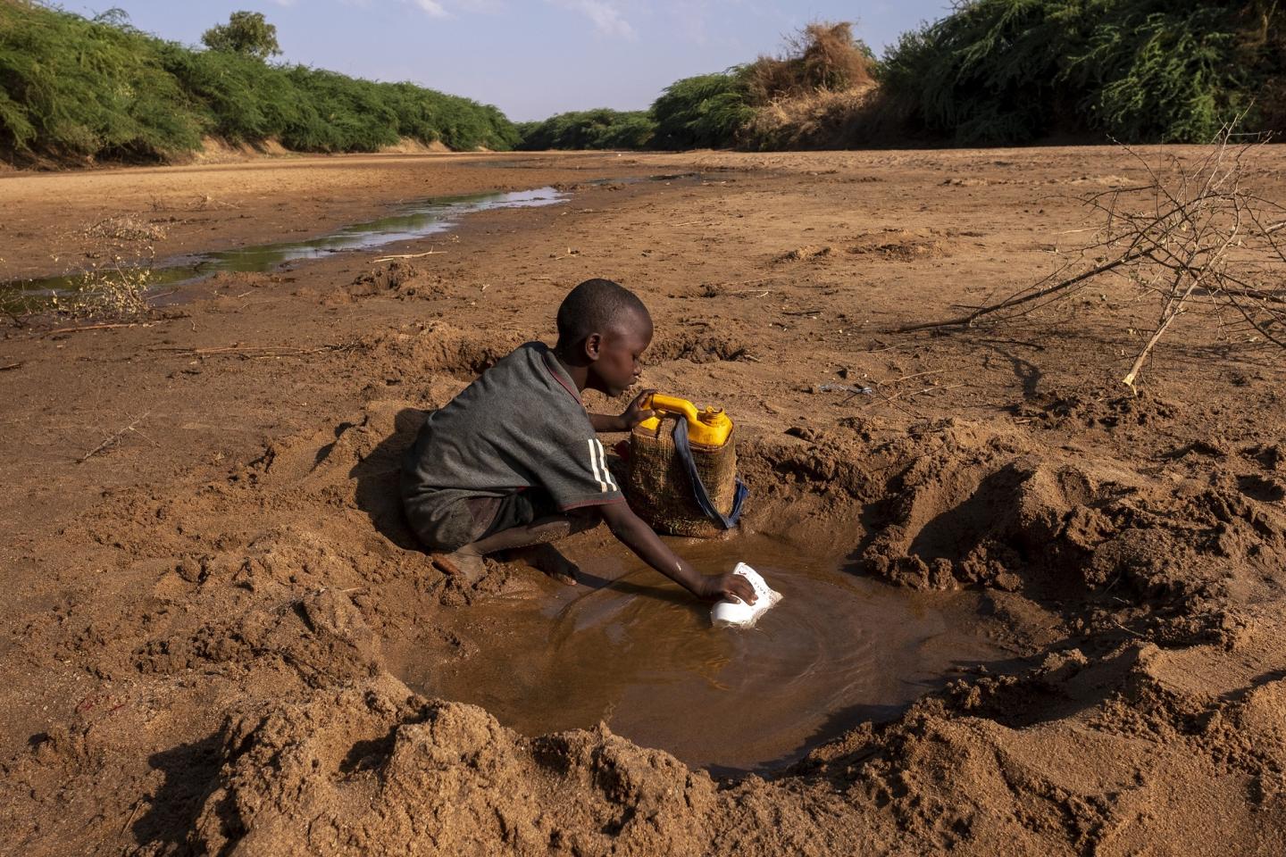 Articles - La faim dans les régions en crise : comment aider les groupes les plus vulnérables