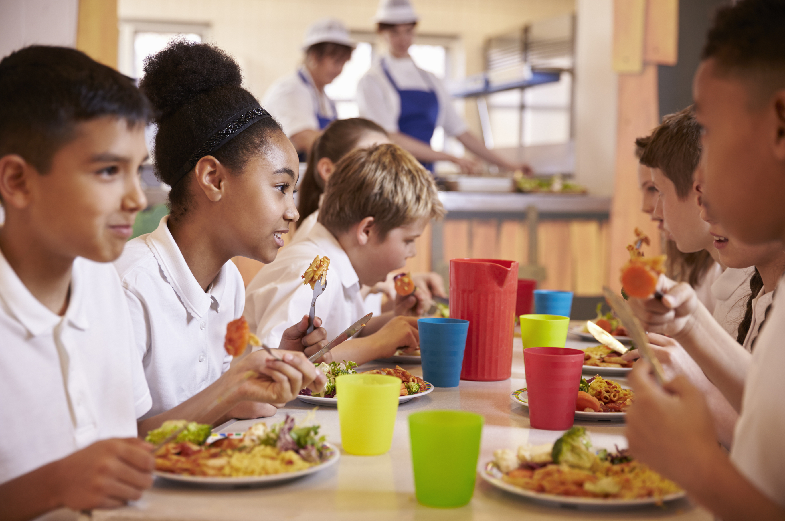 Artikel - Ideen, eine Kampagne zu starten, um Geld für das Mittagessen für Kinder aus armen Familien zu sammeln