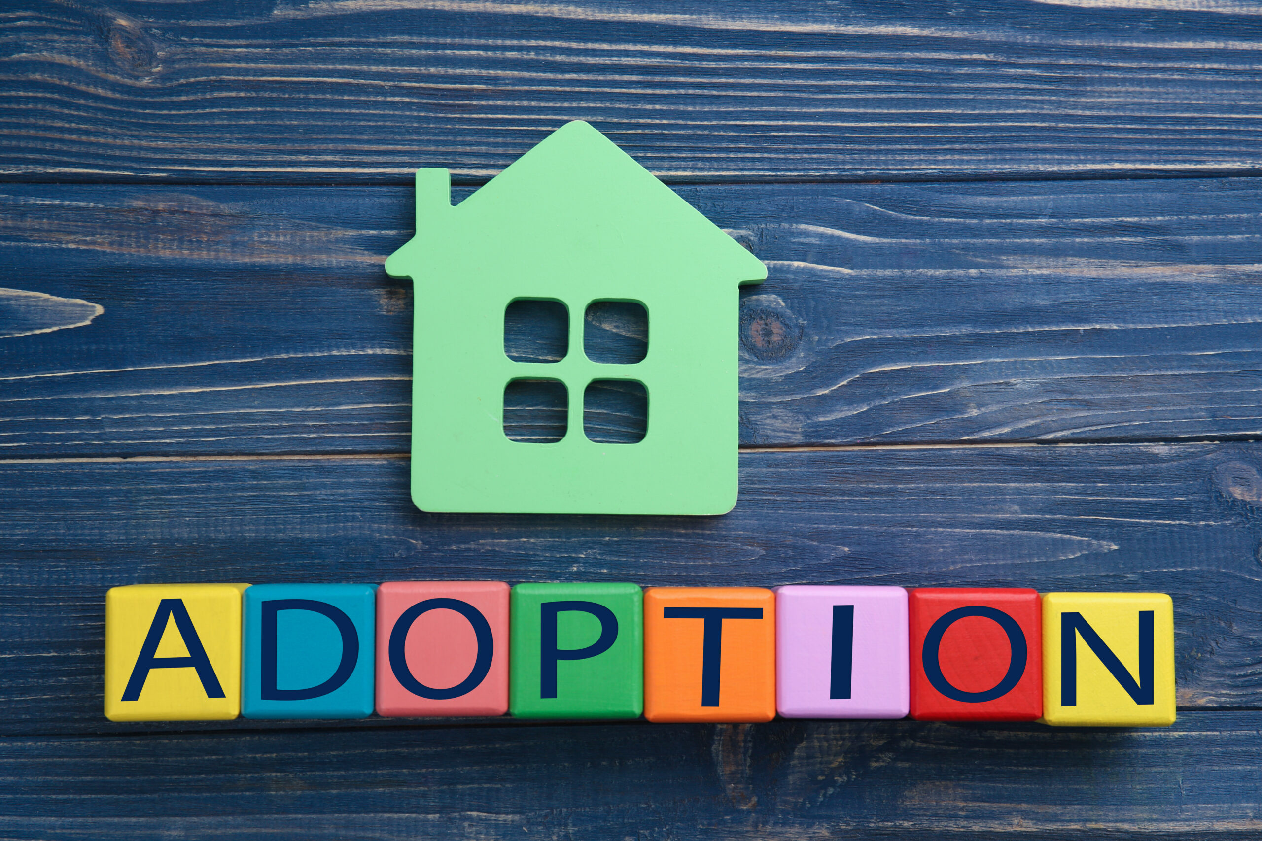 Artikel - So planen Sie eine Adoptions-Spendenaktion