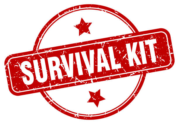 Articles - How to create a Disaster Survival Kit?