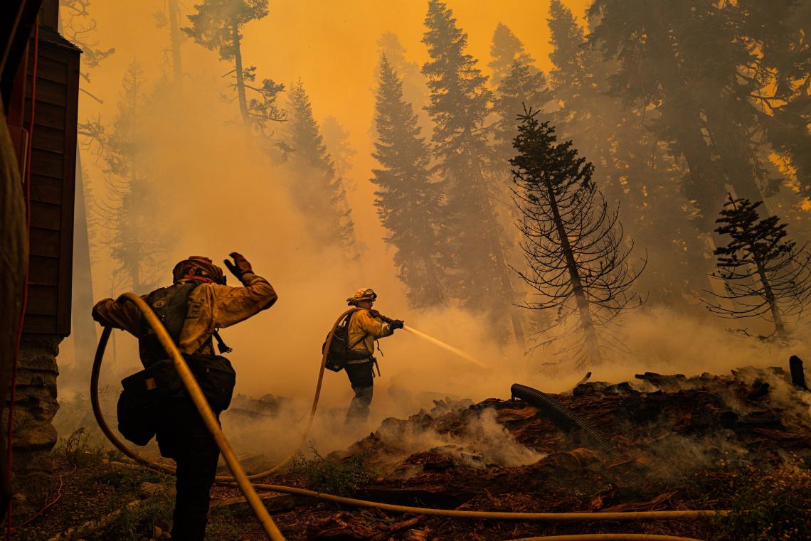 Articoli - Come possiamo aiutare in caso di catastrofe naturale: inondazioni, incendi, terremoti