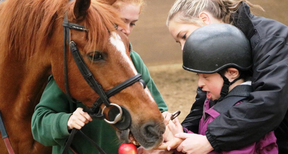 Articles - Fundraising campaign for horse riding for children with disabilities - what you need to know