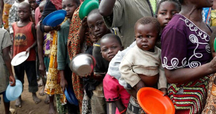 Articles - Global hunger: causes, consequences and solutions