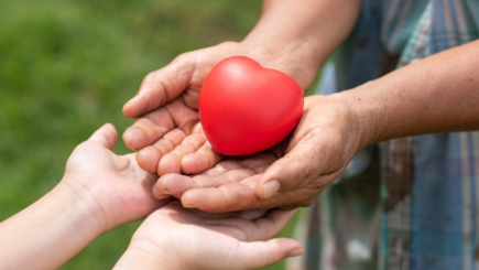 Artículos - Cómo planificar una campaña de crowdfunding para adoptar un niño