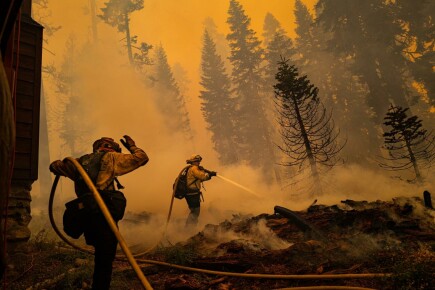 Artikel - Wie können wir bei einer Naturkatastrophe helfen – Überschwemmung, Feuer, Erdbeben?