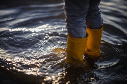 Artículos - ¿Qué es una recaudación de fondos y cómo puede ayudar a los afectados por las fuertes lluvias e inundaciones?