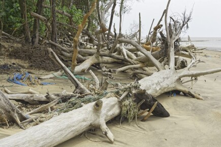 Artículos - Campaña de recaudación de fondos para las víctimas de tormentas severas: cuánto dinero se necesita