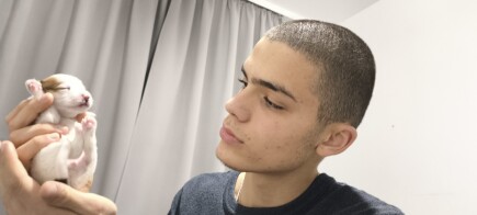 Thousands United for Boyan – Hope Has Returned!