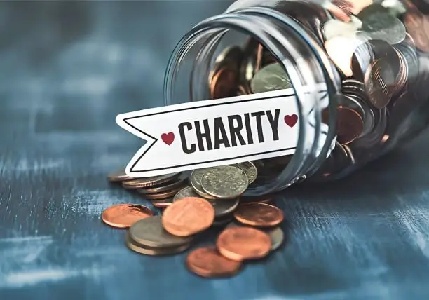 Articles - How to organize a fundraising campaign for palliative care for children and young people