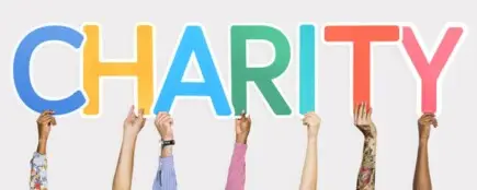 Articole - Organizarea unei campanii de caritate pentru a strânge fonduri pentru copiii orfani - ce trebuie să știți