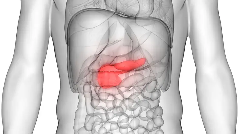 Articole - Pancreatita - Simptome, tratament și prevenire