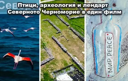 Скритата Красота – Киното, Което Събужда