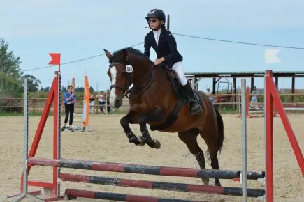 Participez à l'Aventure Équestre d'Angeline vers l'Équipe de France Junior
