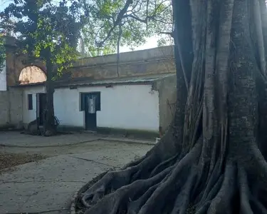 Nuestra cultura viva