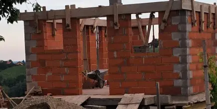 Pomozi Danijeli da završi kuću