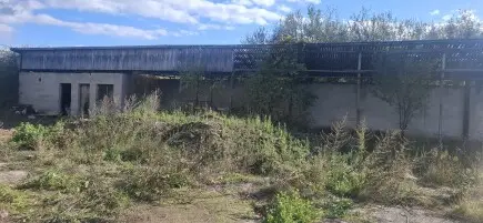 Изграждане на защитен ,,Дом"за тях -БЕЗГЛАСТНИТЕ