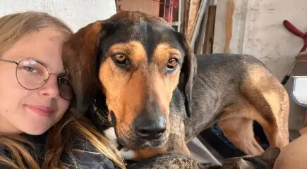 Înființarea Adăpostului de câini Second Chance - Plată aprobată