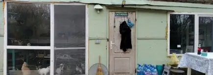 Проект Катио