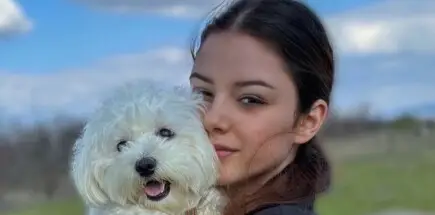 Hitno spasimo psa Loli da ponovo stane na noge