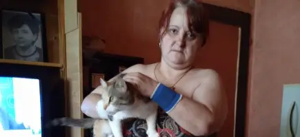Надежда за четири осиновени котета в нужда