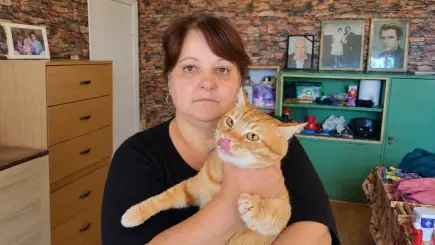 Надежда за четири осиновени котета в нужда - КАМПАНИЯТА ПРОДЪЛЖАВА