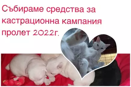 🦮🐈Помогни в кастрационна кампания 2022 - Одобрено изплащане